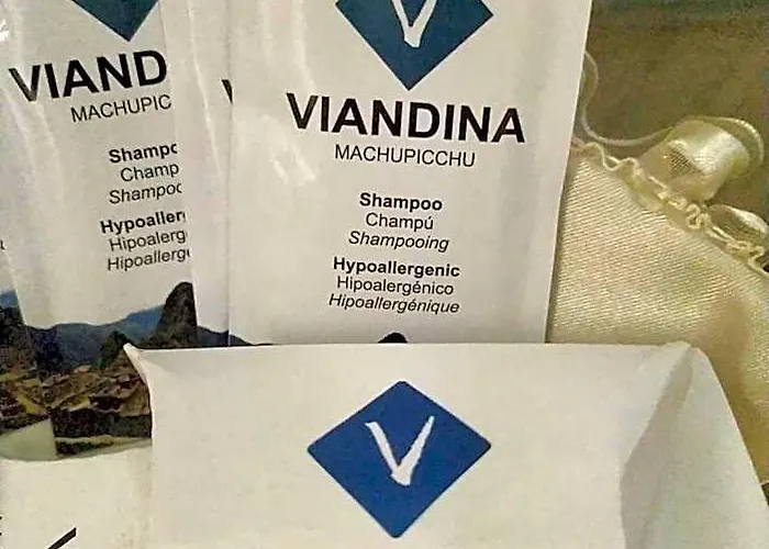 ホテル Viandina 2*